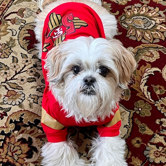 Meet your Posher, Sher - Picture 4 of 13